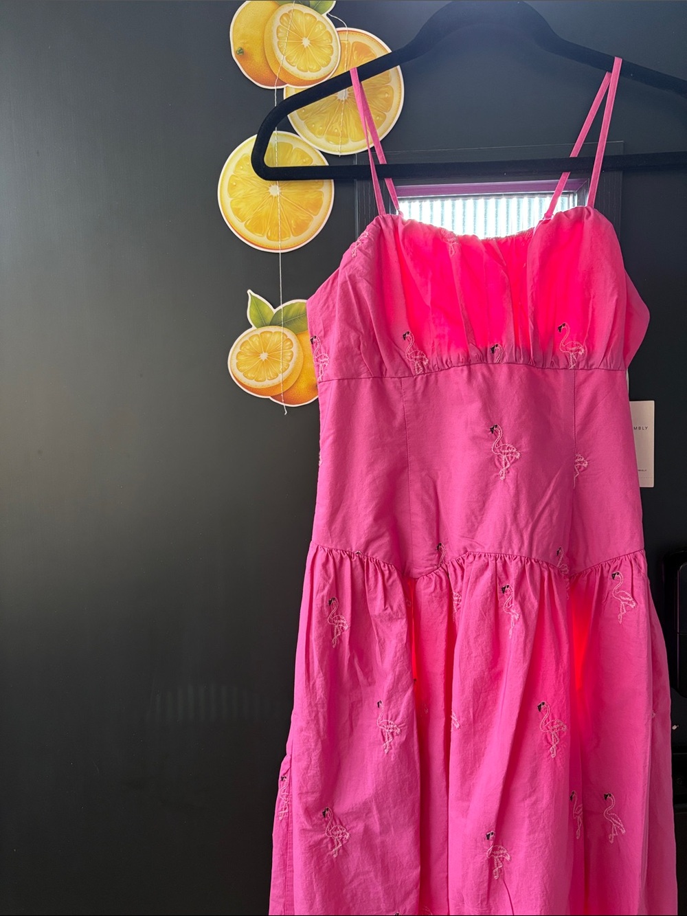 Free Assembly Flamingo Pink Embroidered Sundress NWT